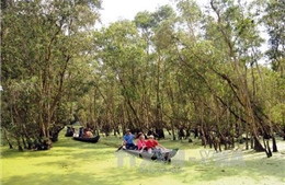 Tăng cường năng lực quản lý hệ thống khu bảo tồn 